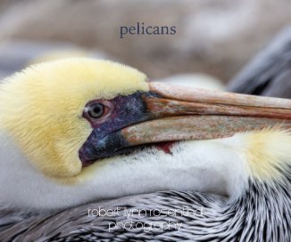 pelicans book cover