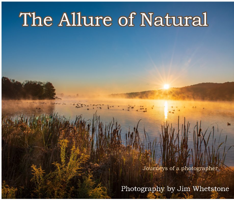 Bekijk The Allure of Natural op James R. Whetstone
