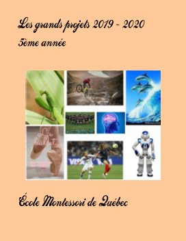 Les grands projets 2019 - 2020 (5e annee) book cover