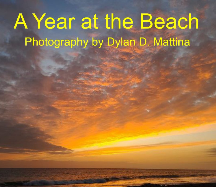 View A Year at the Beach by Dylan D. Mattina