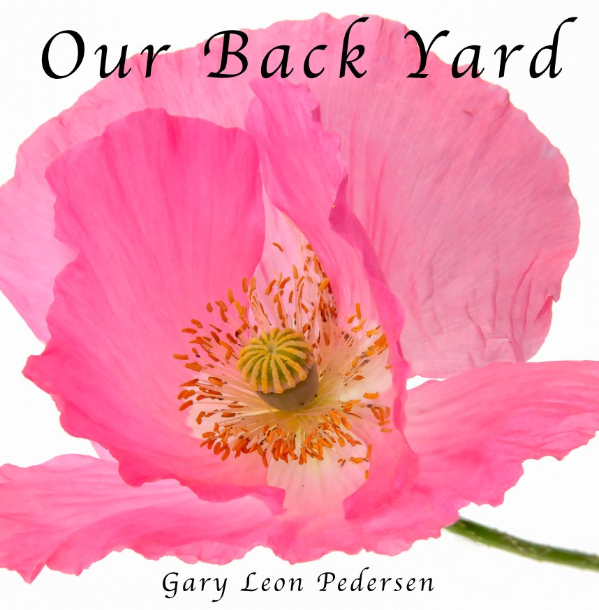 Our Back Yard nach Gary L Pedersen anzeigen