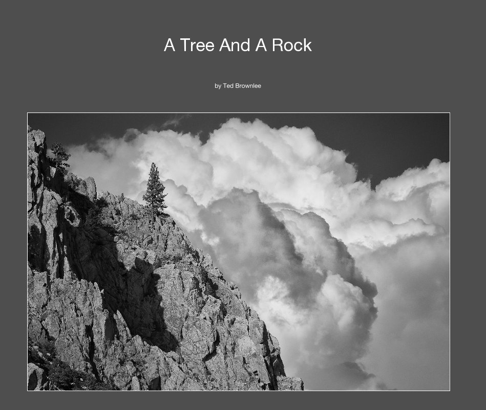 Visualizza A Tree And A Rock di Ted Brownlee