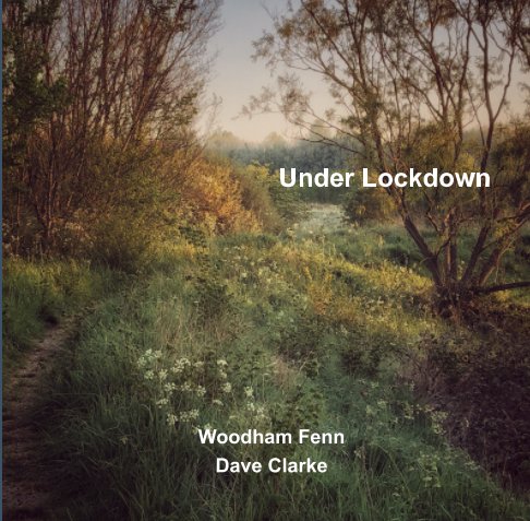 View Woodham Fenn-Under Lockdown by Dave Clarke