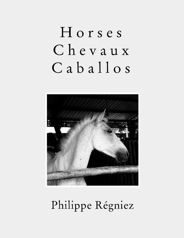 View Horses Chevaux Caballos by Philippe Régniez