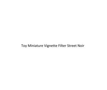 toy miniature vignette filter book cover