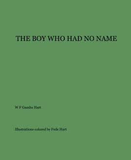 THE BOY WHO HAD NO NAME book cover