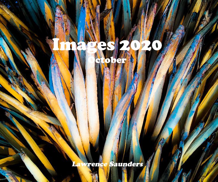 Ver Images 2020 October por Lawrence Saunders