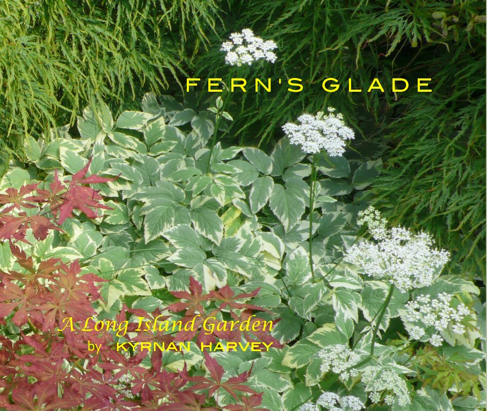 View Fern's Glade by Kyrnan Harvey