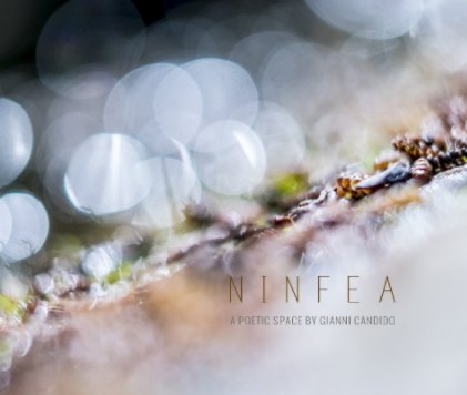 Ninfea book cover