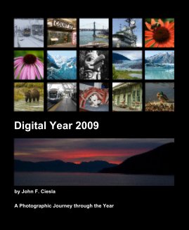 Digital Year 2009 book cover