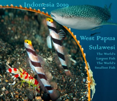 Diving West Papua and Sulawesi book cover