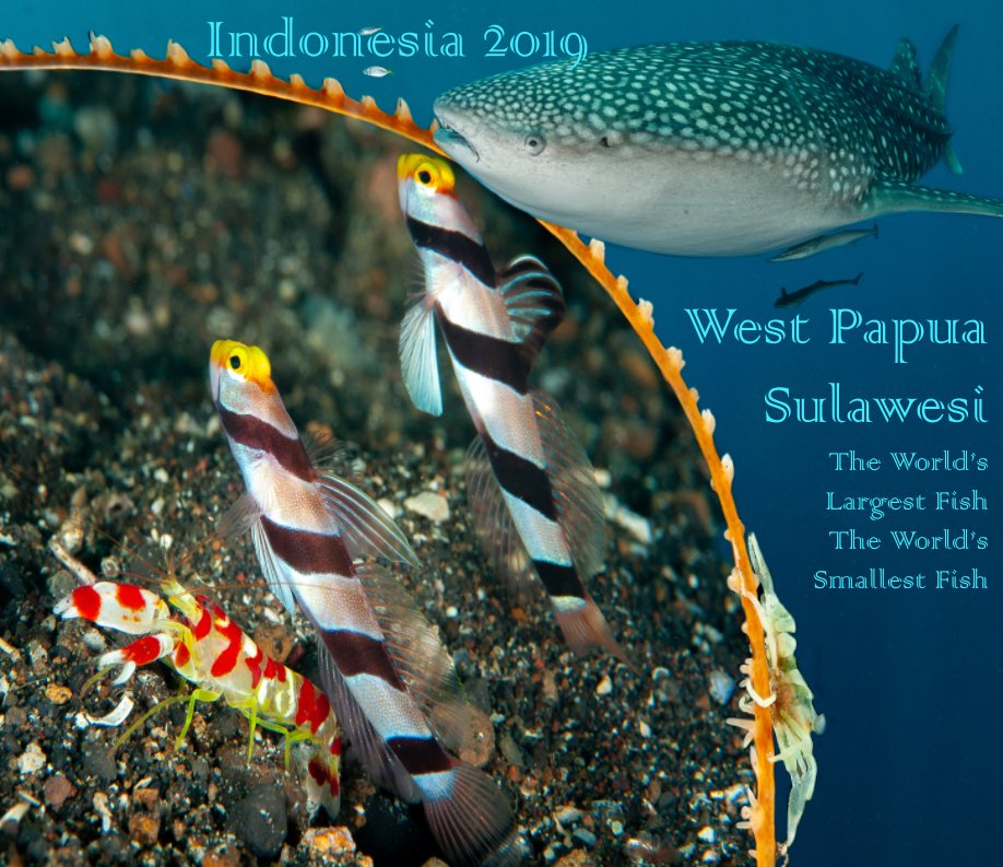 View Diving West Papua and Sulawesi by Neil Vincent