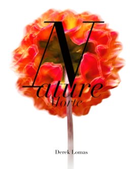 Nature Morte book cover