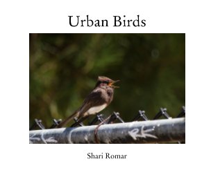 Urban Birds book cover