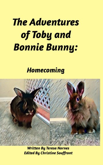 View The Adventures of Toby and Bonnie Bunny by Teresa Nornes