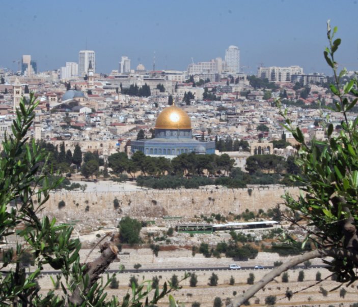 Ver Israel - a pilgrimage through the Holy Land por Elke Schlichte, Nicole Chan