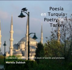 Poesia en Turquia Poetry in Turkey book cover