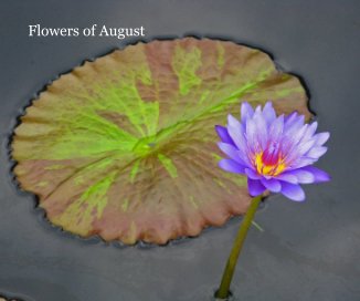 Flowers of August book cover