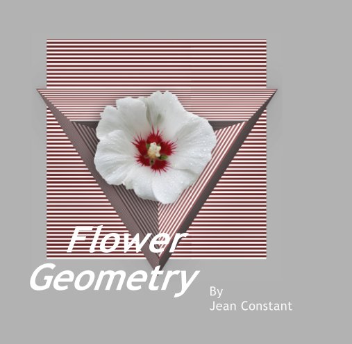 View Flower Geometry by Jean Constant