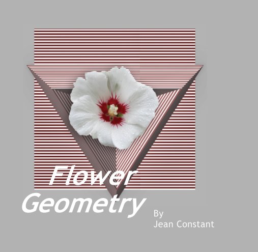 Ver Flower Geometry por Jean Constant