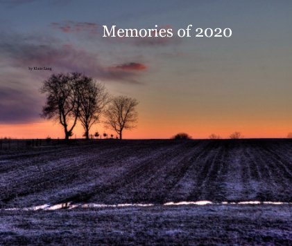 Memories of 2020 book cover