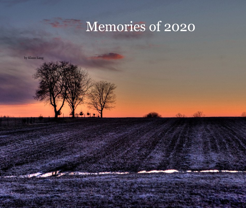 View Memories of 2020 by Klaus Lang