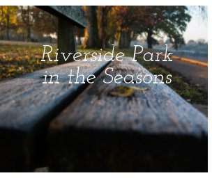Riverside Park in the seasons book cover