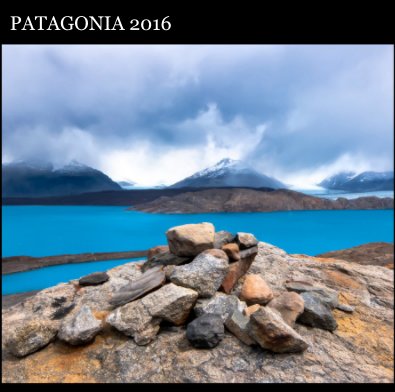 Patagonia 2016 book cover