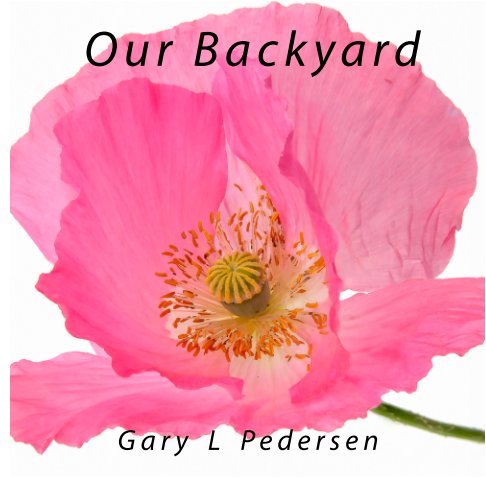 View Our Back Yard by Gary L Pedersen