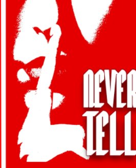 Never Tell book cover