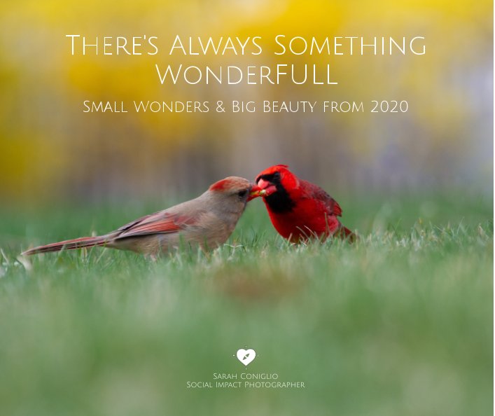 Ver There's Always Something WonderFULL por Sarah Coniglio