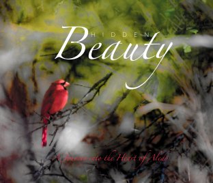 Hidden Beauty (Second Edition) book cover