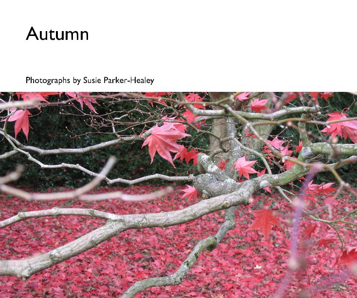 Ver Autumn por Photographs by Susie Parker-Healey