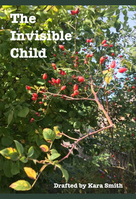 View The Invisible Child by Kara Smith