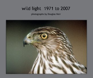 wild light  1971 to 2007 book cover