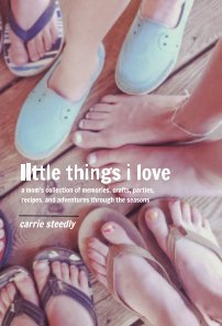 little things i love book cover