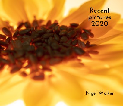 Recent Pictures 2020 Nigel Walker book cover