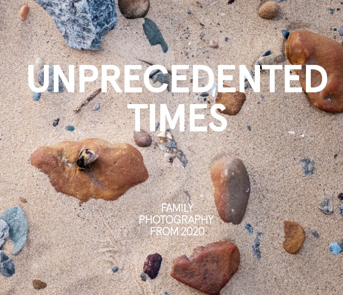 View Unprecedented Times by John Taylor