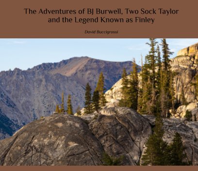 The Adventures of BJ Burwell, Two Sock Taylor, and the Legend Known as Finley book cover