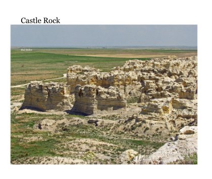 Castle Rock book cover