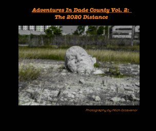 Adventures in Dade County Vol.2 The 2020 Distance book cover