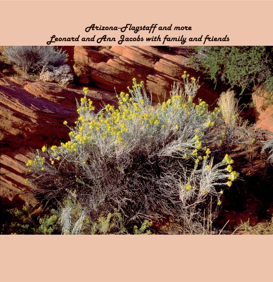 View Arizona-Flagstaff and more by Ann and Leonard Jacobs