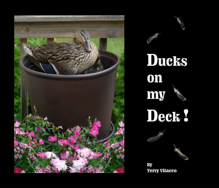View Ducks on my Deck! by Terry Vitacco