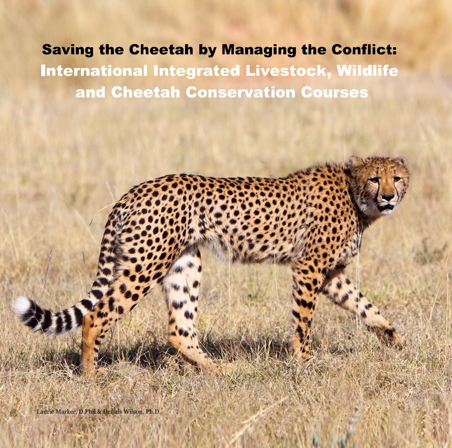 Ver Saving the Cheetah by Managing the Conflict: International Integrated Livestock, Wildlife and Cheetah Conservation Courses por Laurie Marker, D.Phil & Dennis Wilson, Ph.D.