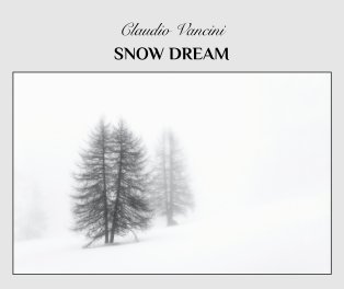 Snow Dream book cover
