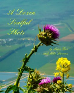 A Dozen Soulful Shots book cover