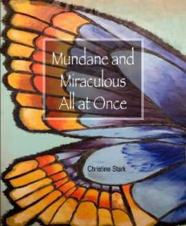Mundane and Miraculous All at Once book cover