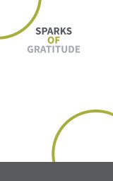 Gratitude Journal YHG - 3 months book cover