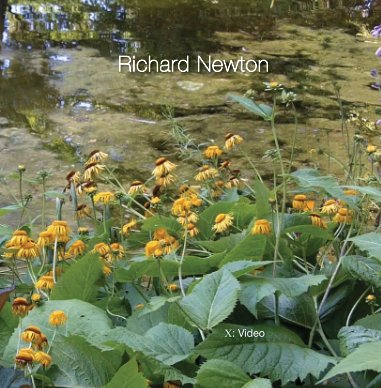 Richard Newton vol. 10: Video book cover