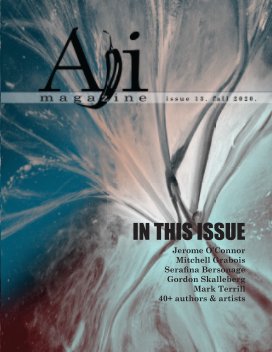 Aji Magazine, Fall 2020, Issue 13 book cover